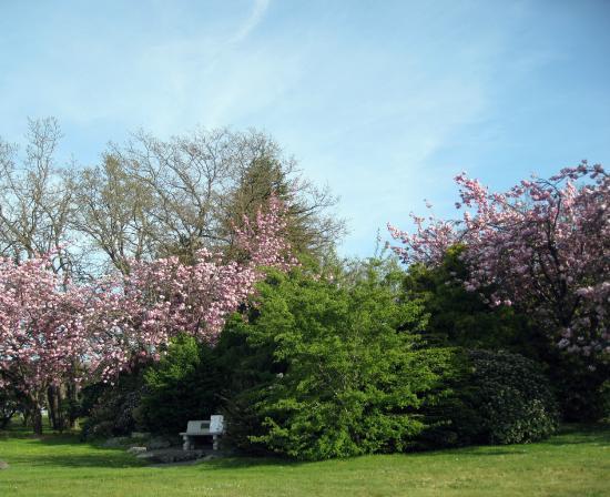 Sequim Pioneer Memorial Park